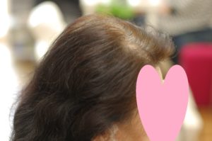 奈良県奈良市|ヘナカラー、ヘナ、ヘナ染め、ケミカルヘナ